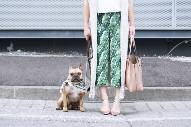 whoismocca-modeblog-fashionblog-modebloggerin-innsbruck-tirol-oesterreich-frenchie-palmen-05