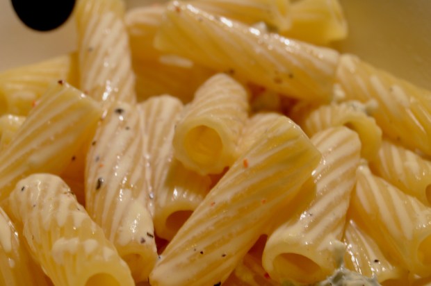 Nudeln Gorgonzolasoße 2