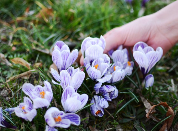 When Anna Happy Easter 1