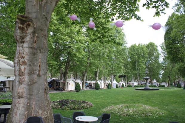 13232961_10209319237208129_8238155583676991812_n