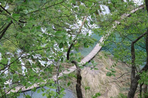 13240546_10209319334450560_2825612142380380137_n