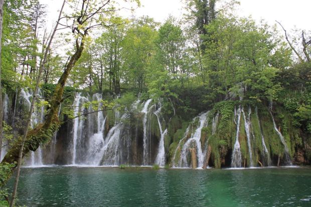 13241391_10209319584096801_233303369664578541_n