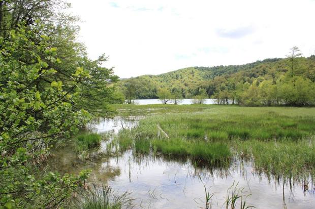 13256442_10209319471133977_4410929508108025237_n